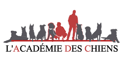 Académie des chiens
